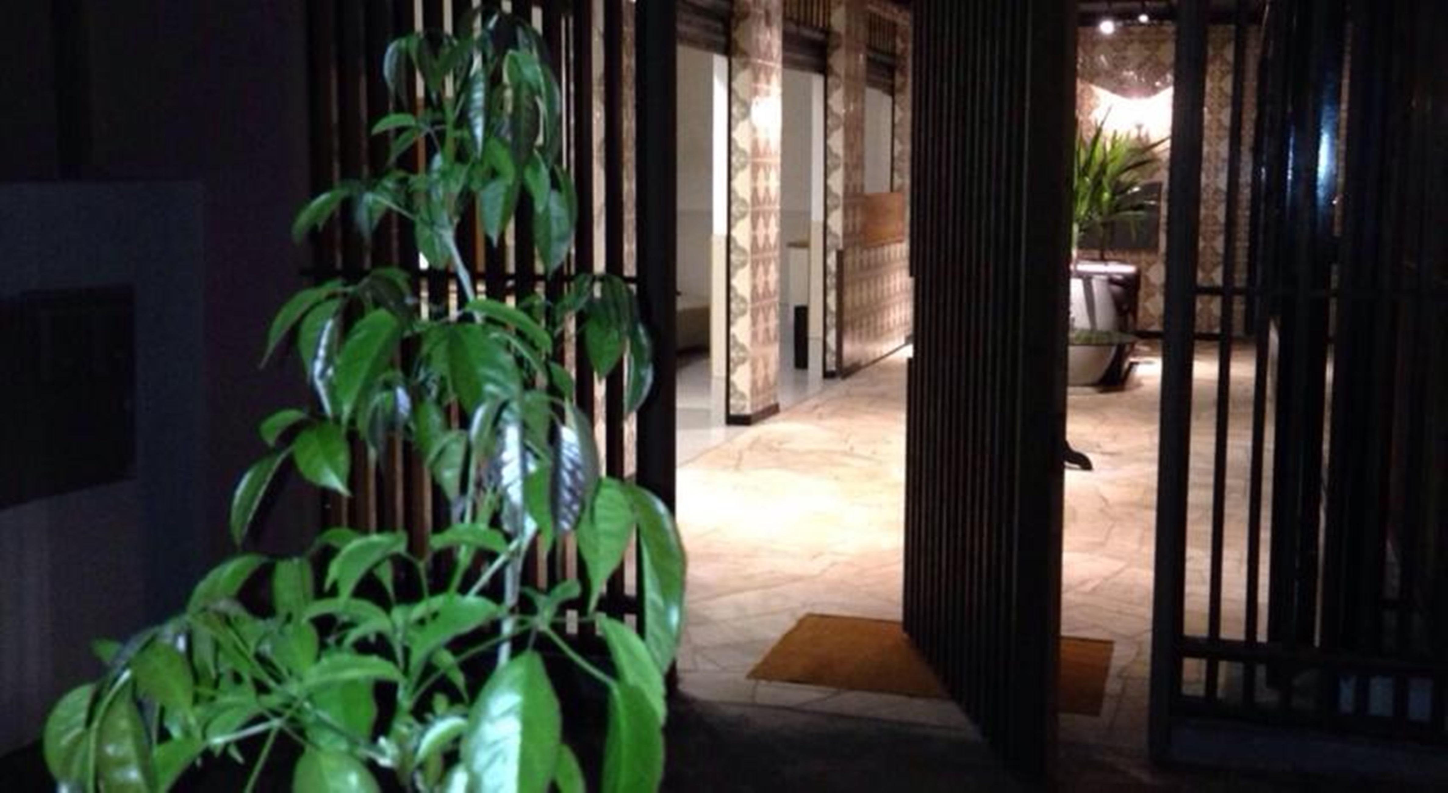 Vespasiano Hotel Telemaco Borba Ngoại thất bức ảnh
